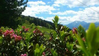 Schneeberger * Stummerberg