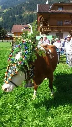 Lägenhet Schneeberger Stummerberg