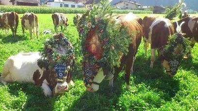 Schneeberger *